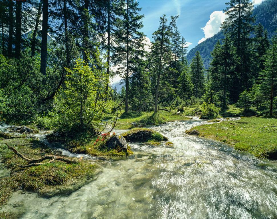 Hotel Laerchenhof Natur 제펠드 인 티롤 외부 사진