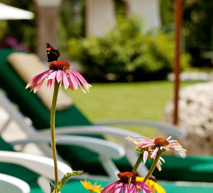 Hotel Laerchenhof Natur 제펠드 인 티롤 객실 사진